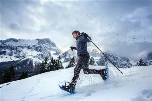 Alexander Alpine Wellness Dolomites 3*