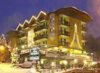 Alexander Alpine Wellness Dolomites Hotel