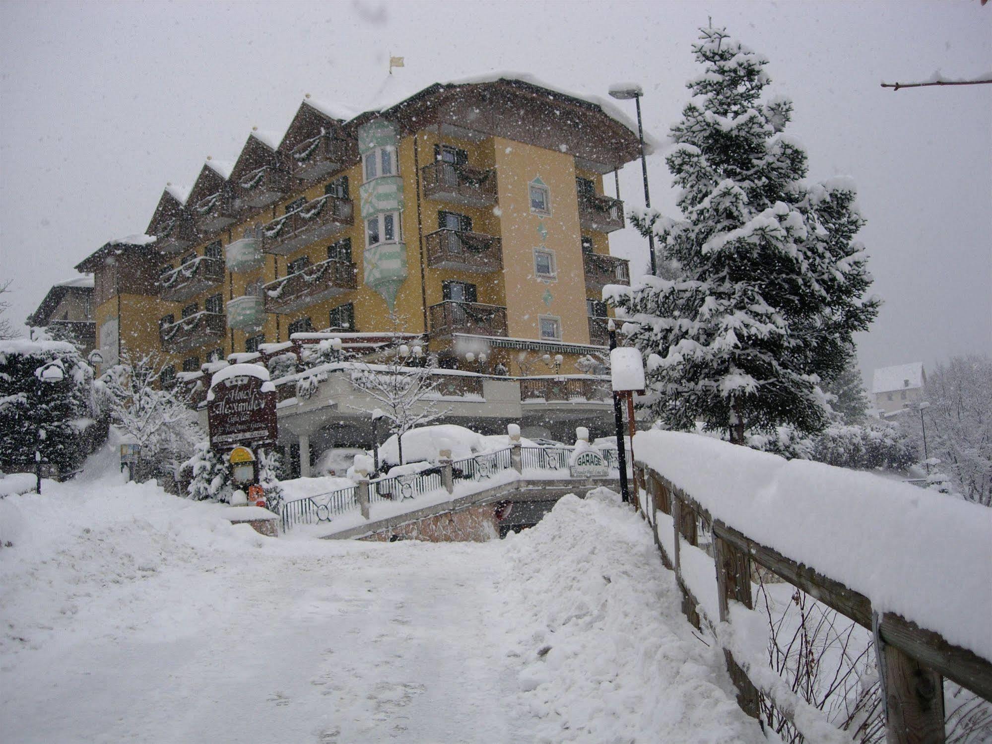 Alexander Alpine Wellness Dolomites 3*